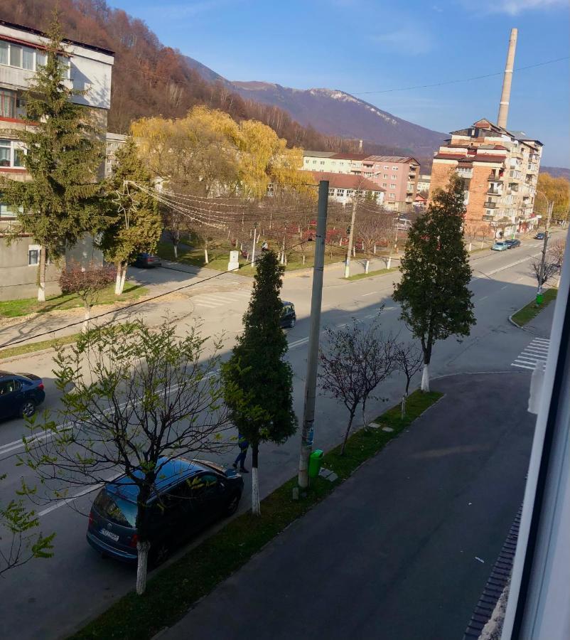 La Symo Apartament Straja Lupeni Lupeni  Екстер'єр фото