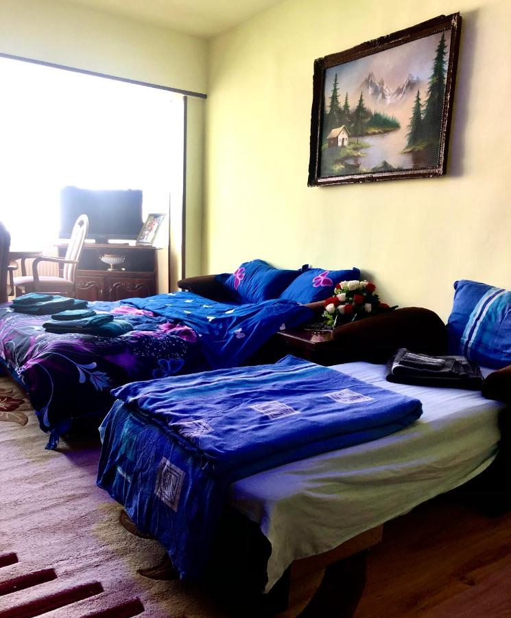 La Symo Apartament Straja Lupeni Lupeni  Екстер'єр фото