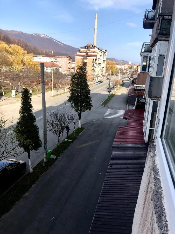 La Symo Apartament Straja Lupeni Lupeni  Екстер'єр фото
