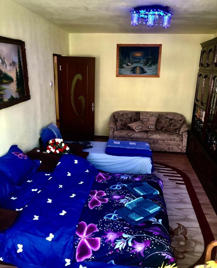 La Symo Apartament Straja Lupeni Lupeni  Екстер'єр фото
