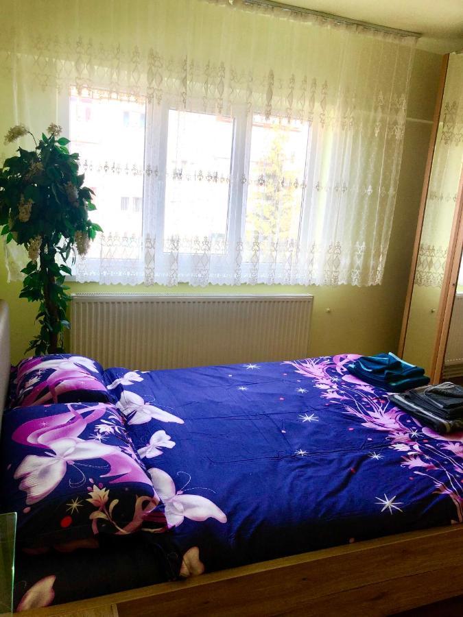 La Symo Apartament Straja Lupeni Lupeni  Екстер'єр фото