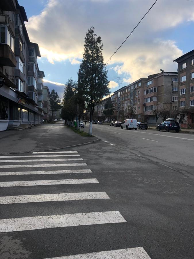 La Symo Apartament Straja Lupeni Lupeni  Екстер'єр фото