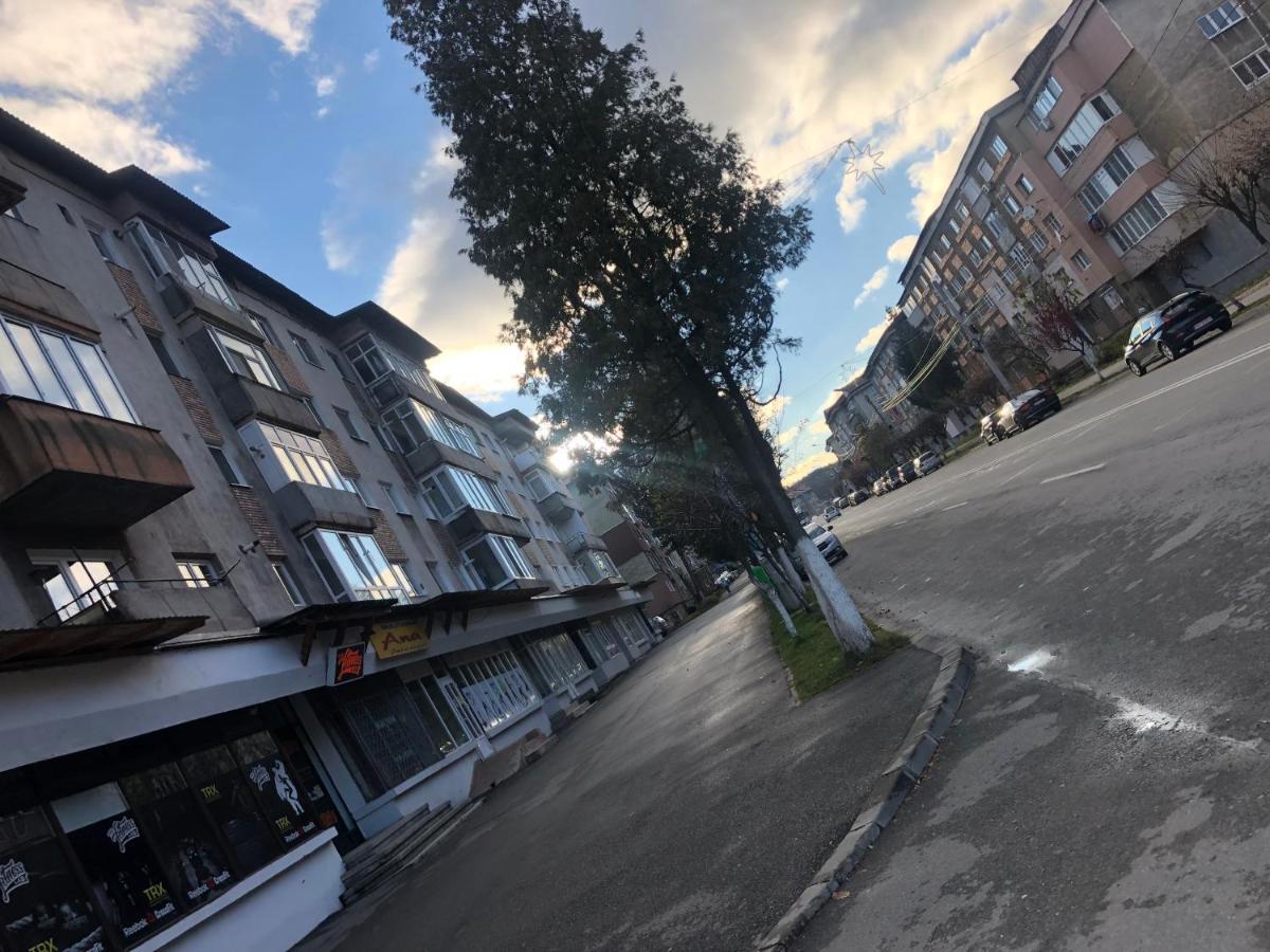 La Symo Apartament Straja Lupeni Lupeni  Екстер'єр фото